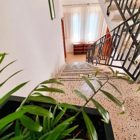 Apartamento Celaj *