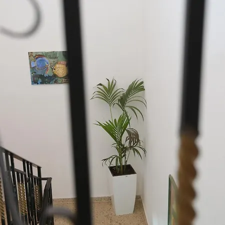 Celaj Apartment