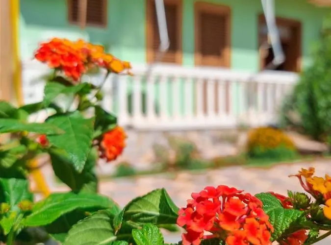 Celaj Apartament Velipojë