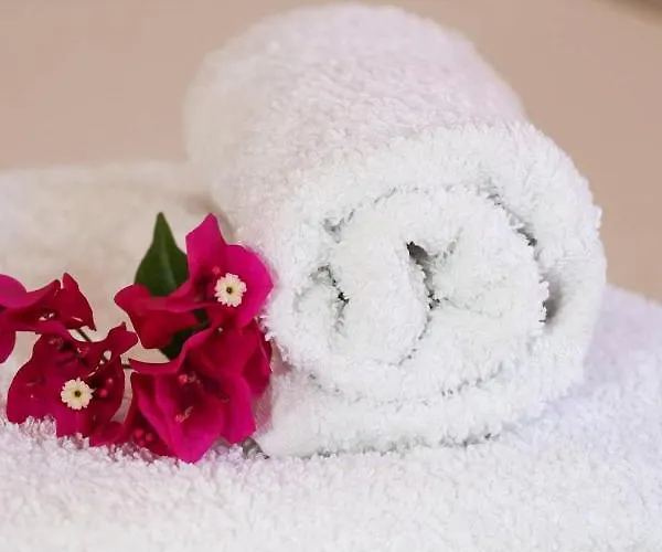 Apartament Celaj Velipojë