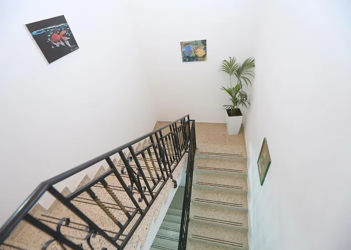 Celaj Apartament Velipojë